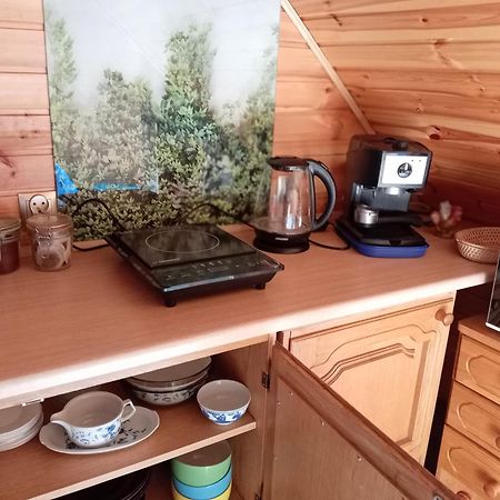 U Janusza I Grazyny Lägenhet Ściegny Exteriör bild
